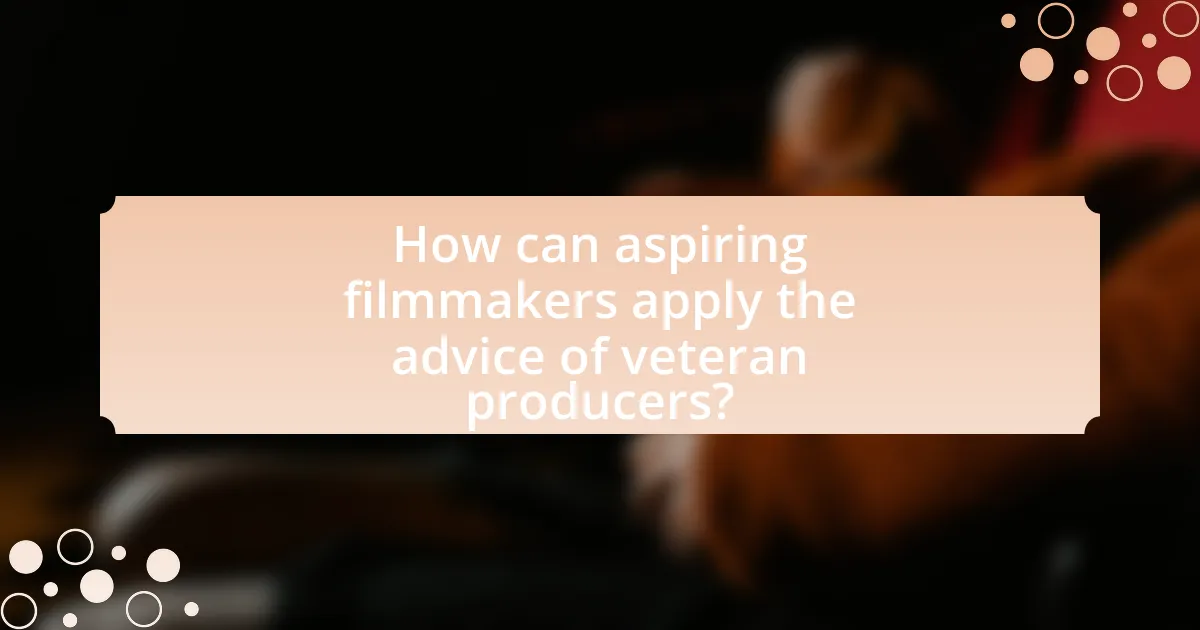How can aspiring filmmakers apply the advice of veteran producers?