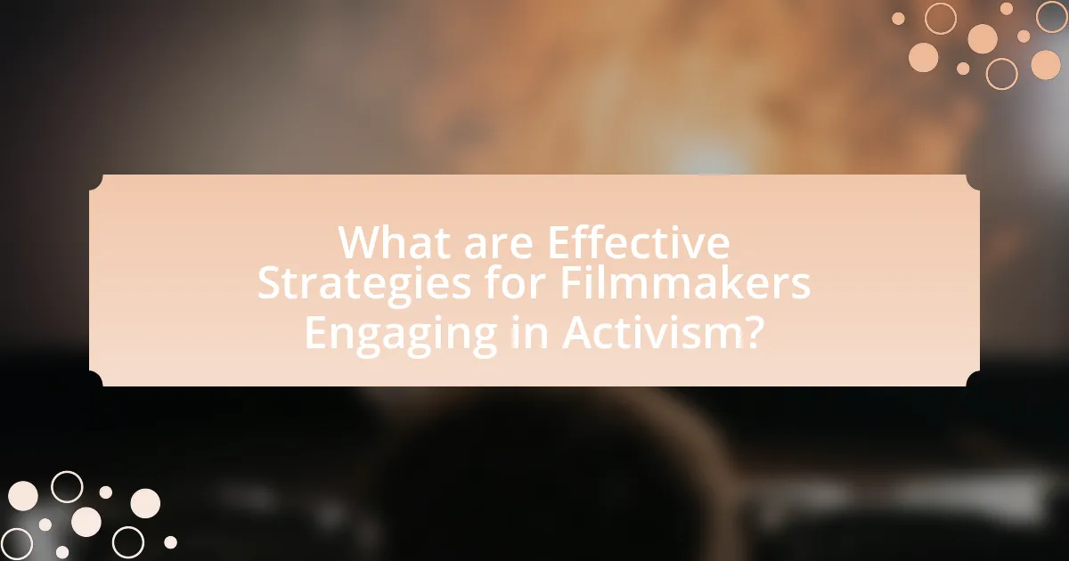 What are Effective Strategies for Filmmakers Engaging in Activism?
